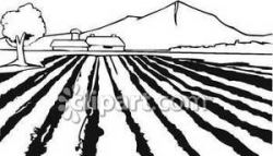 Rows In a Field on a Farm - Royalty Free Clipart Picture
