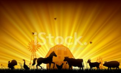 Farm Sunset stock vectors - Clipart.me