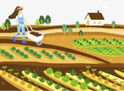 Cartoon Illustration; Farm Land; Vegetable Growing | Png in ...