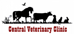 Ponoka Alberta Veterinary Clinic – Central Veterinary Clinic