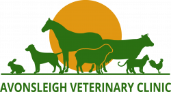 Pet Veterinarian in Emerald | Avonsleigh Veterinary Clinic