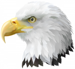 American Eagle Head Transparent PNG Clip Art Image | Clip art mix ...