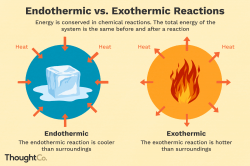 Endothermic and Exothermic Chemical Reactions