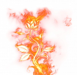 Beautiful Rose of Fire PNG Clipart Picture | Gallery Yopriceville ...