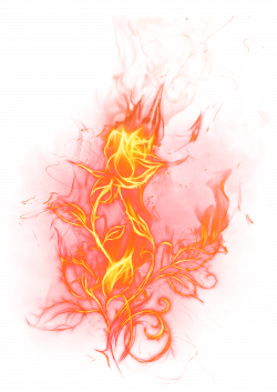Transparent Fire Rose PNG Clipart Picture | Gallery Yopriceville ...