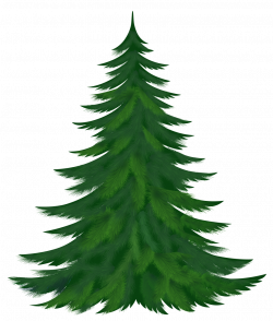 Fir Tree Silhouette at GetDrawings.com | Free for personal use Fir ...