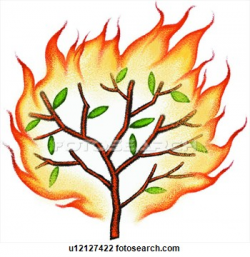 Tree fire icon. | Clipart Panda - Free Clipart Images