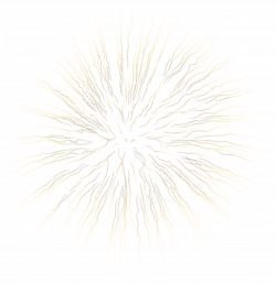 Firework White Transparent Clip Art | Gallery Yopriceville - High ...