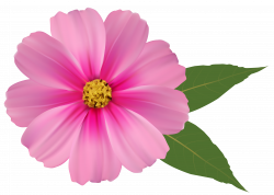 Pink Flower PNG Image Clipart | Gallery Yopriceville - High-Quality ...
