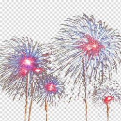 Nice Fireworks Pyrotechnics, Nice fireworks transparent ...