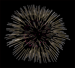 Fireworks Clip Art at Clker.com - vector clip art online ...