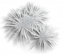Transparent Silver Fireworks PNG Clipart | Gallery Yopriceville ...