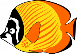 Cartoon Fish Clip art - Tropical Fish Cliparts 800*566 transprent ...