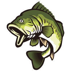 Largemouth bass Clip art - Open your mouth and green fish 1000*1000 ...