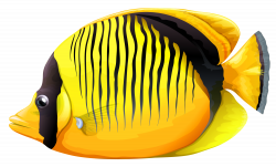 Yellow Butterfly Fish PNG Clipart - Best WEB Clipart