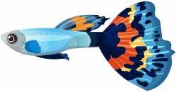Male Guppy Fish PNG Clip Art Image | Gallery Yopriceville - High ...