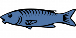 Fish Salmon Cod Clip art - Blue fish 1280*640 transprent Png Free ...