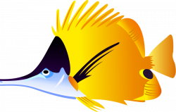 Colorful Tropical Fish Clipart