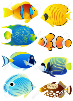 Stock Vector | VBS 2016 in 2019 | Tropical fish pictures ...