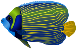 Blue Fish PNG Clip Art Image | Gallery Yopriceville - High-Quality ...