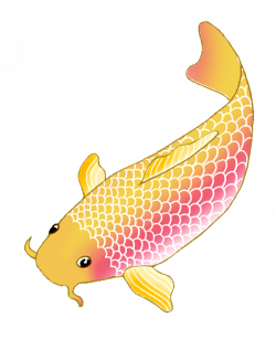 Colorful Koi Fish Drawings