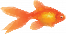 Clipart - Low Poly Goldfish