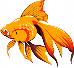 Goldfish With Long Fins Clip Art at Clker.com - vector clip art ...