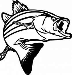 Bass fish outline clipart - WikiClipArt