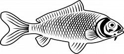 28+ Collection of Fish Line Drawing | High quality, free cliparts ...