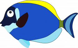 blue cartoon fish Icons PNG - Free PNG and Icons Downloads