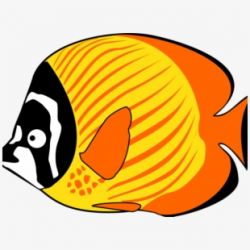 Fish Sea Animals Clipart , Png Download - Fish Sea Cartoon ...