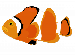 Cartoon Fish Png , (+) Png Group - romolagarai.org<