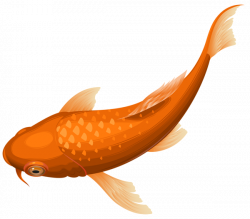 Orange Koi Fish Transparent Clip Art PNG Image | orange | Pinterest ...