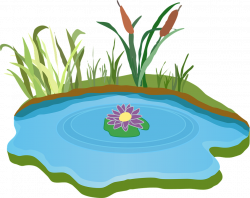 Imagem gratis no Pixabay - Lagoa, Água, Ao Ar Livre, Grama ...