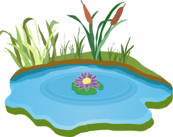 Free Fish Pond Cliparts, Download Free Clip Art, Free Clip ...