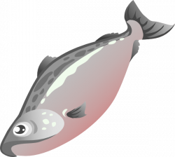 Salmon Clip Art at Clker.com - vector clip art online, royalty free ...