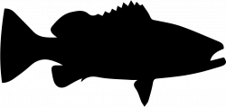 Grouper Silhouette at GetDrawings.com | Free for personal use ...