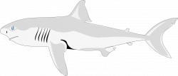 Shark Fish Clipart png free download