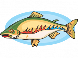 Fish: Resources (Science Trek: Idaho Public Television)