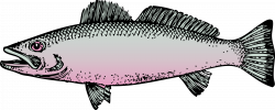 Clipart - fish