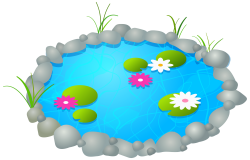 28+ Collection of Pond Clipart Top View | High quality, free ...