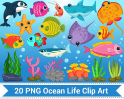 Underwater Clipart, Ocean Life, Sea Creatures Clip Art, Fish, Starfish,  Shrimp, Whale, Cute Ocean Animals, Seaweed.