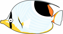 Butterflyfish clipart png cartoon - Pencil and in color ...