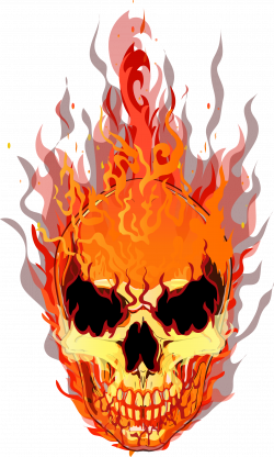 Skull T-shirt Fire Flame - Vector Skull 1596*2658 transprent Png ...