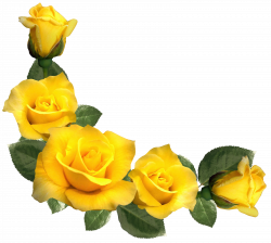 Beautiful Yellow Roses Decor PNG Clipart Image | Rose Pics ...