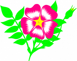 Free Flower Illustrations, Download Free Clip Art, Free Clip Art on ...