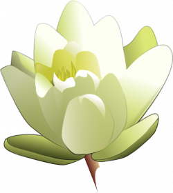 Animated lily flower clipart