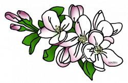 Free Apple Blossom Cliparts, Download Free Clip Art, Free ...