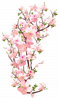 Spring Tree Branch Transparent PNG Clip Art Image | desenhos 3 ...
