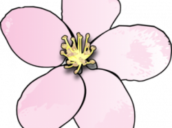 Peach Blossom Tattoo Free Download Clip Art - carwad.net